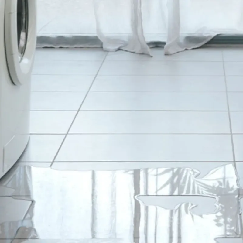 Appliance Leak Cleanup in Leavenworth, WA